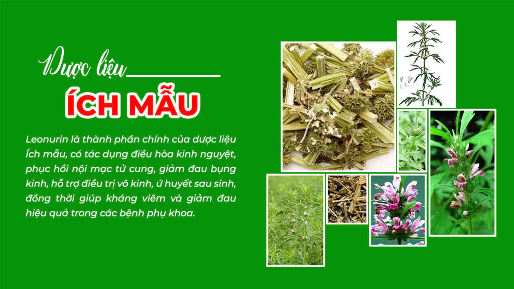 Câu chuyện ích mẫu
