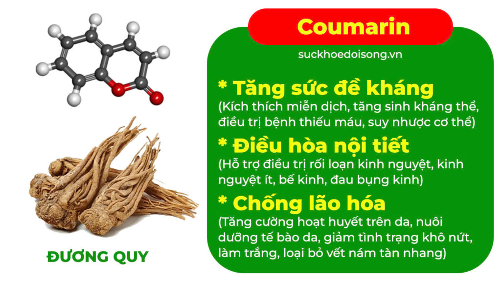 Thành phần hoá học Thống kinh