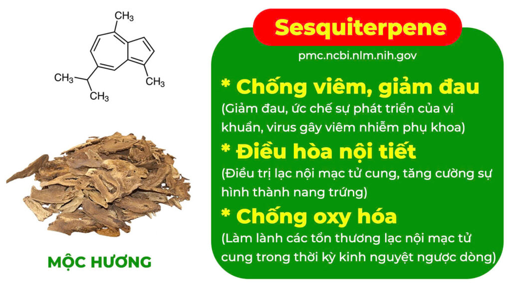 Thành phần hoá học Thống kinh