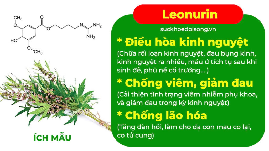 Thành phần hoá học Thống kinh
