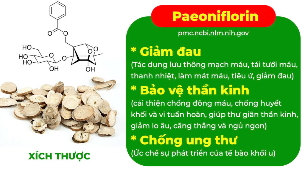 Thành phần hoá học Thống kinh