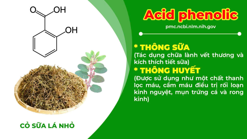 Dược phẩm PQA