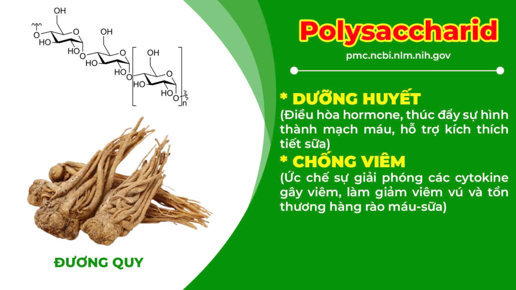 Thành phần hoá học cốm lợi sữa 
