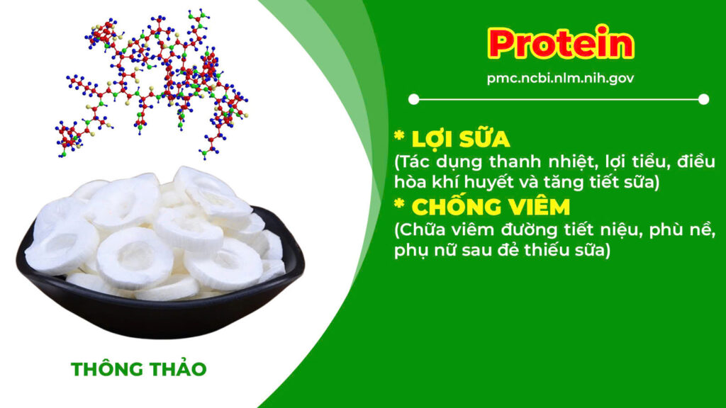 Thành phần hoá học cốm lợi sữa 