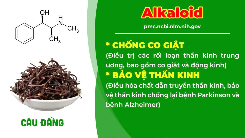 Thành phần hoá học thư can dưỡng huyết 