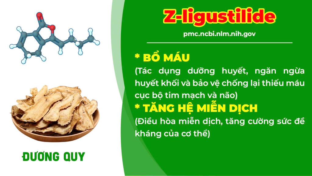 Thành phần hoá học thư can dưỡng huyết 