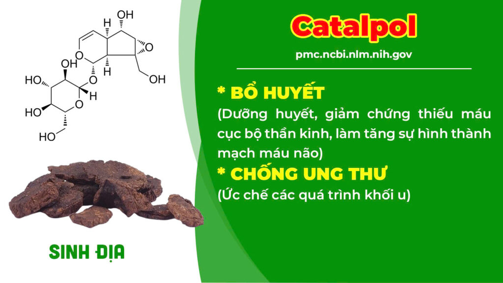 Thành phần hoá học thư can dưỡng huyết 