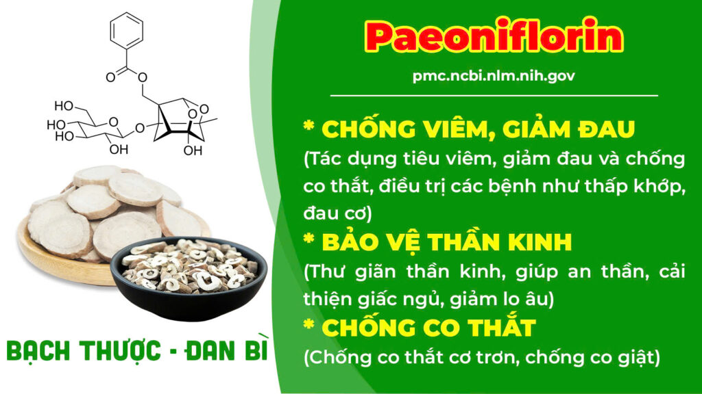 Thành phần hoá học thư can dưỡng huyết 