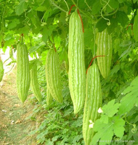 Dược phẩm PQA