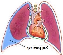 Dược phẩm PQA