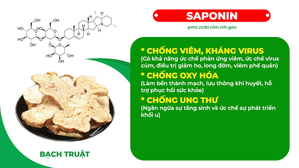 Thành phần hoá học Nhân sâm bổ phổi
