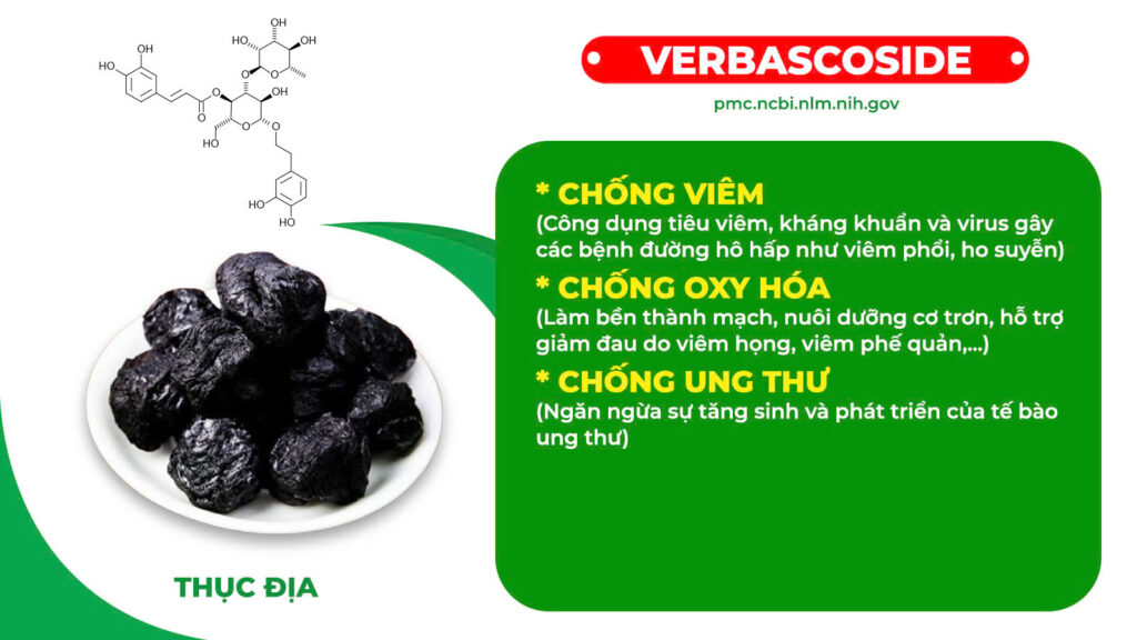 Thành phần hoá học Nhân sâm bổ phổi