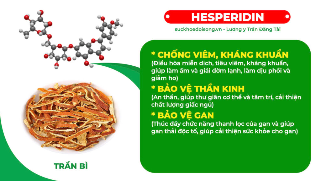Thành phần hoá học Nhân sâm bổ phổi