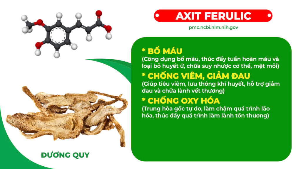 Thành phần hoá học Nhân sâm bổ phổi