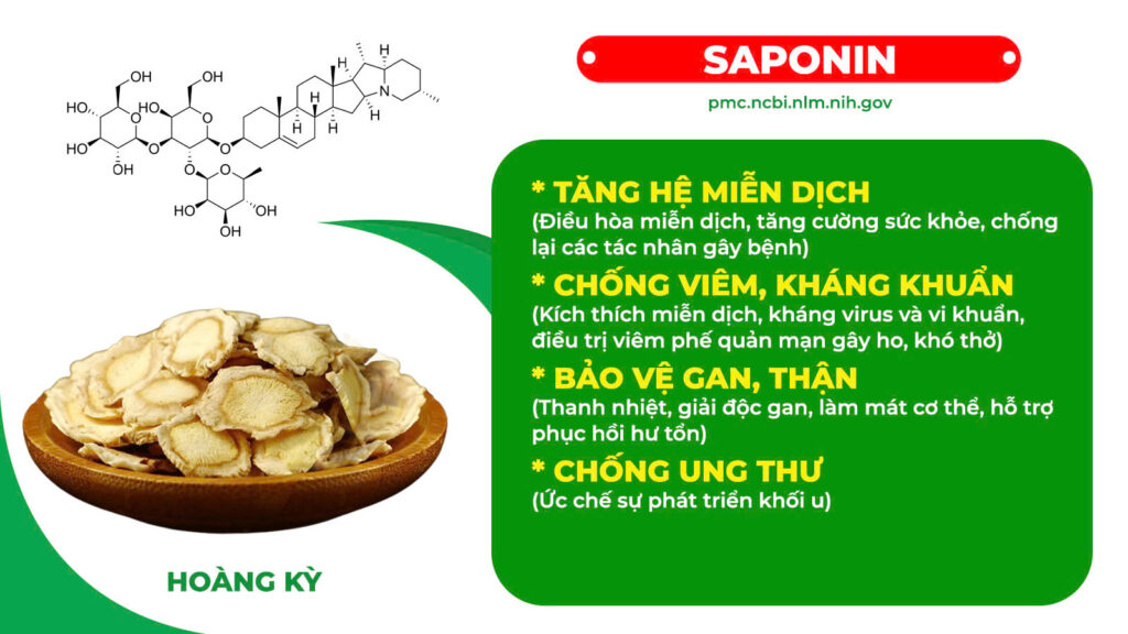 Thành phần hoá học Nhân sâm bổ phổi