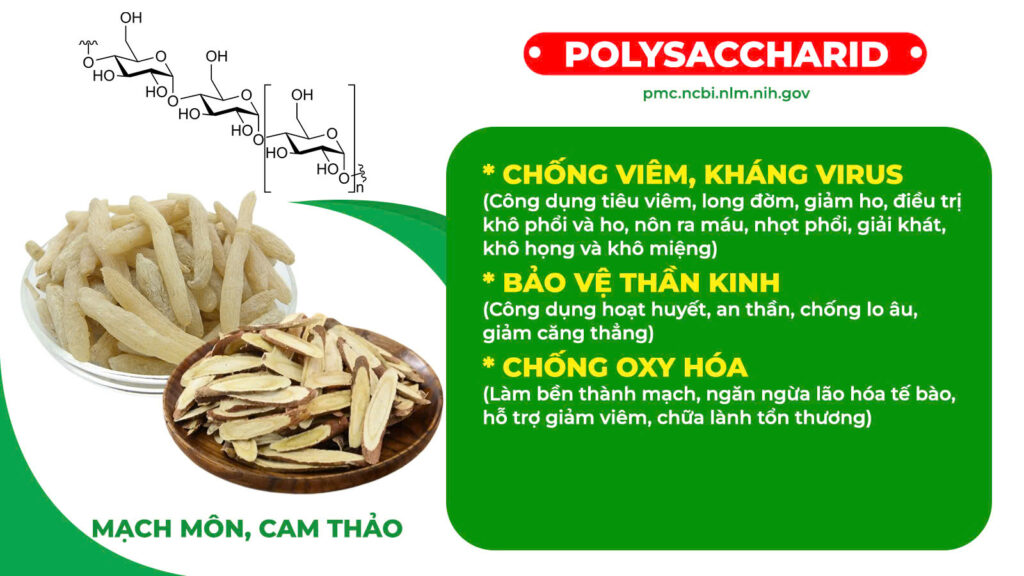 Thành phần hoá học Nhân sâm bổ phổi
