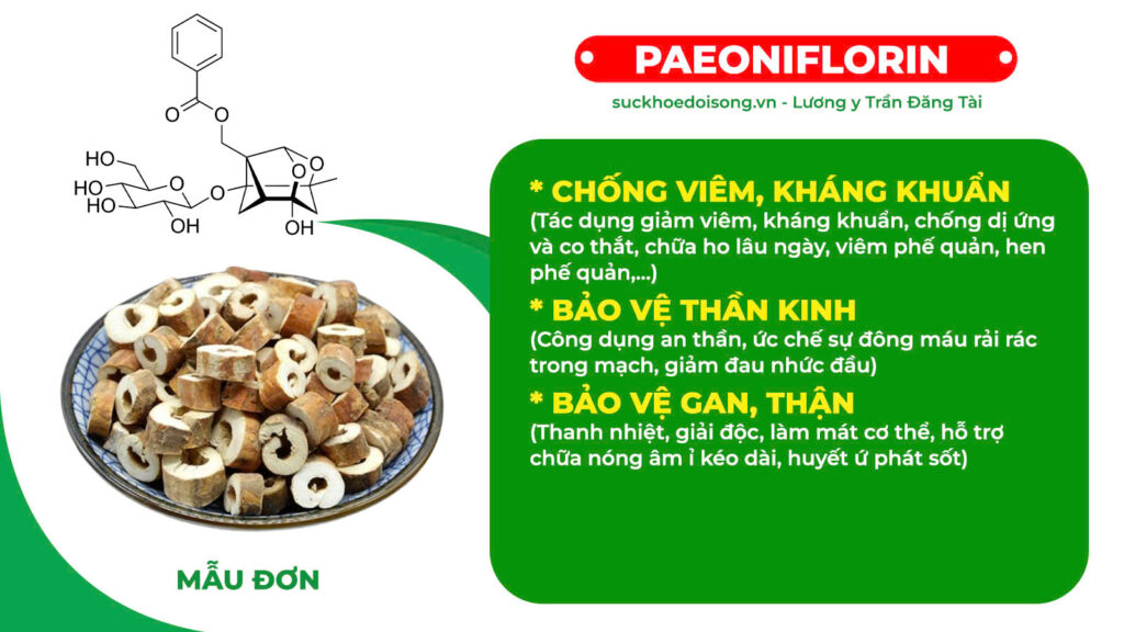 Thành phần hoá học Nhân sâm bổ phổi