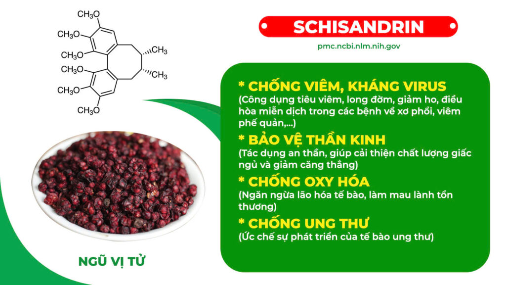Thành phần hoá học Nhân sâm bổ phổi