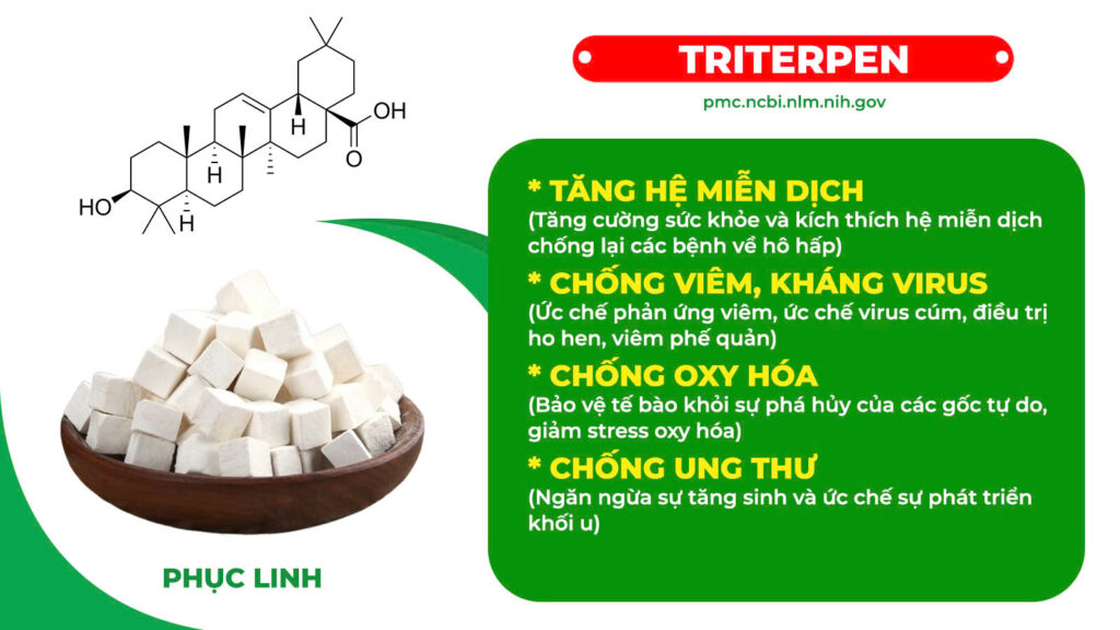 Thành phần hoá học Nhân sâm bổ phổi