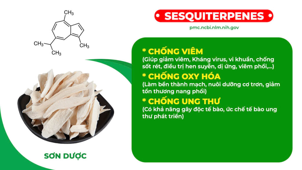 Thành phần hoá học Nhân sâm bổ phổi