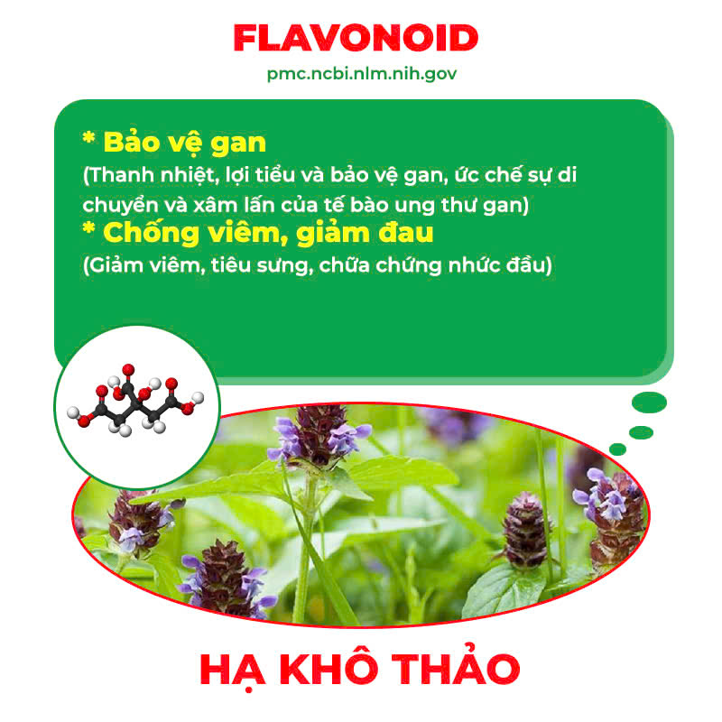 Thành phần hoá học hạ khô thảo 