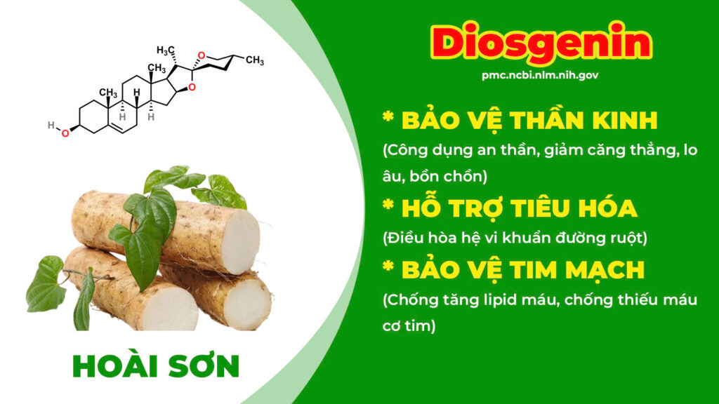 Thành phần hoá học kiện tỳ ích khí 