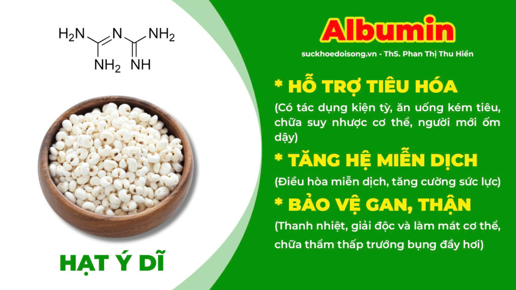 Thành phần hoá học kiện tỳ ích khí 