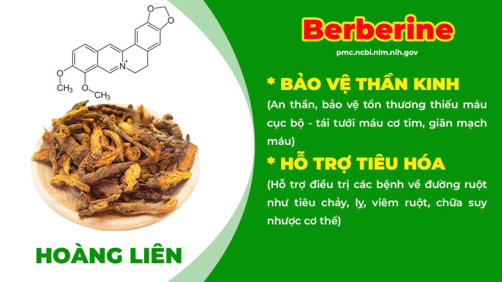 Thành phần hoá học kiện tỳ ích khí 
