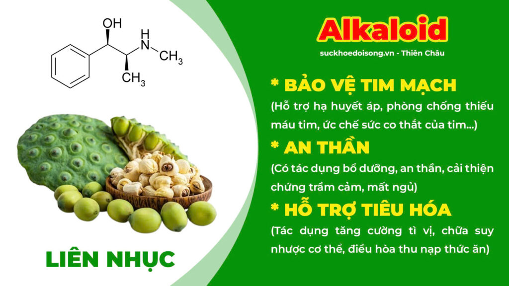 Thành phần hoá học kiện tỳ ích khí 