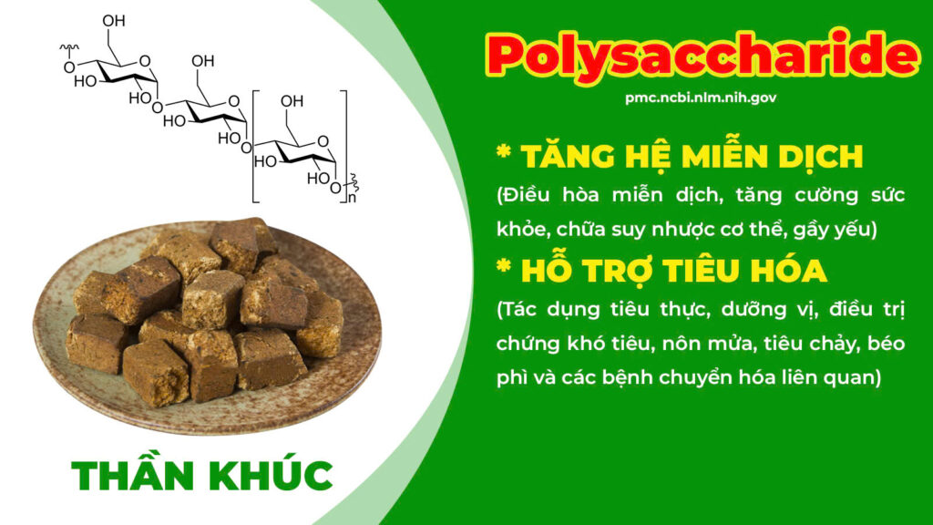 Thành phần hoá học kiện tỳ ích khí 