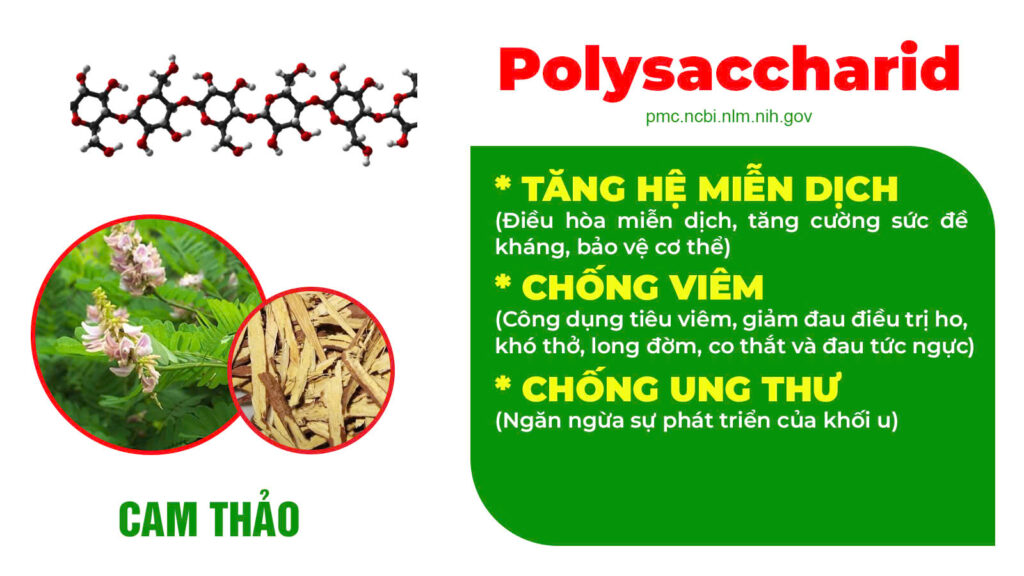 Thành phần hoá học siro ho hen 