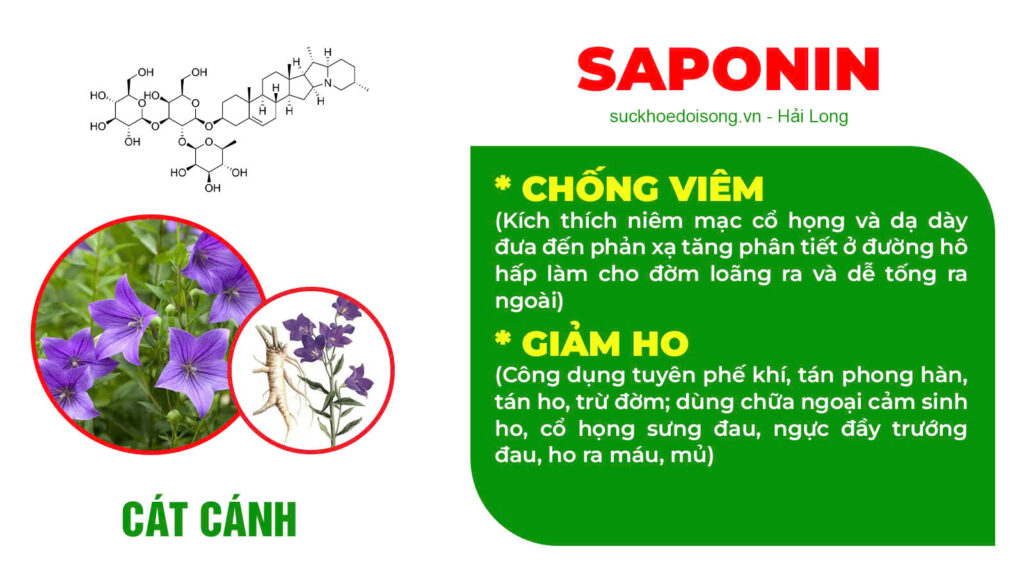 Thành phần hoá học siro ho hen 