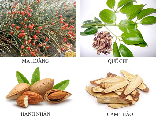 Dược phẩm PQA
