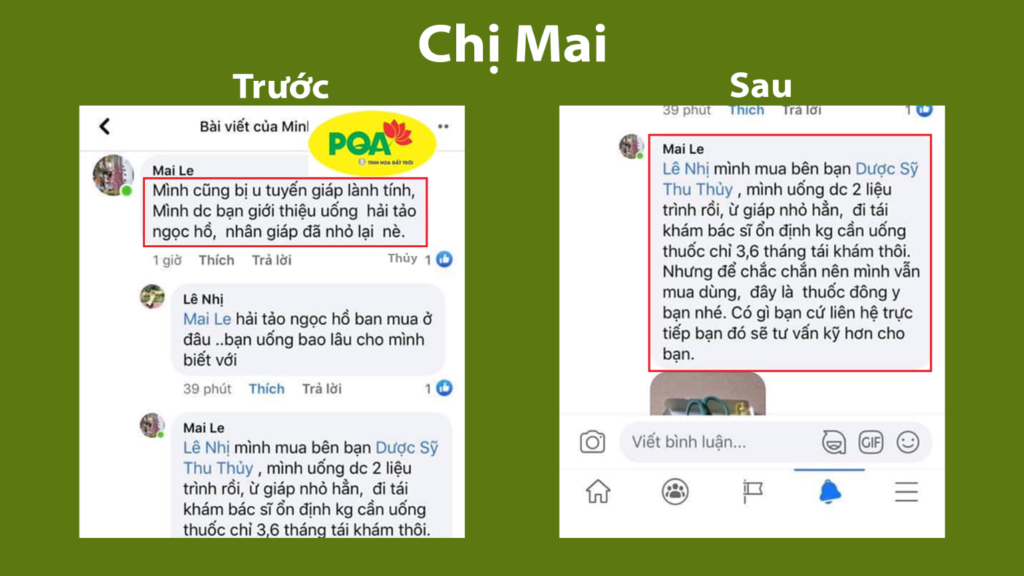 Feedback trước, sau hải tảo ngọc hồ