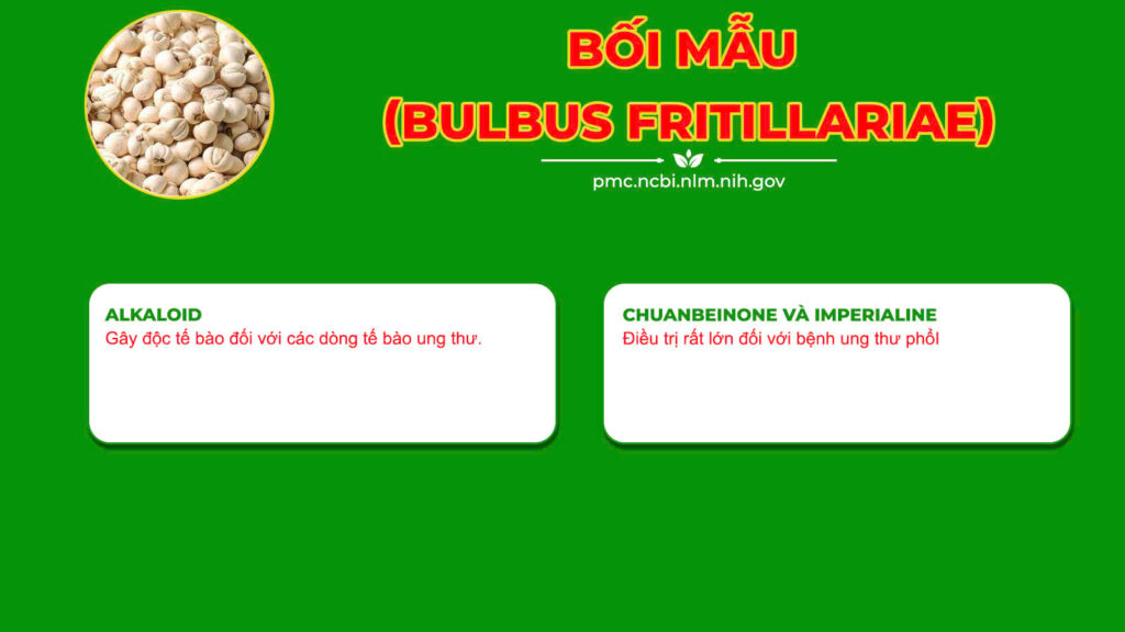 Dược phẩm PQA
