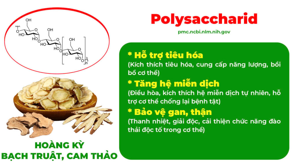 Thành phần hoá học Dáng ngọc 