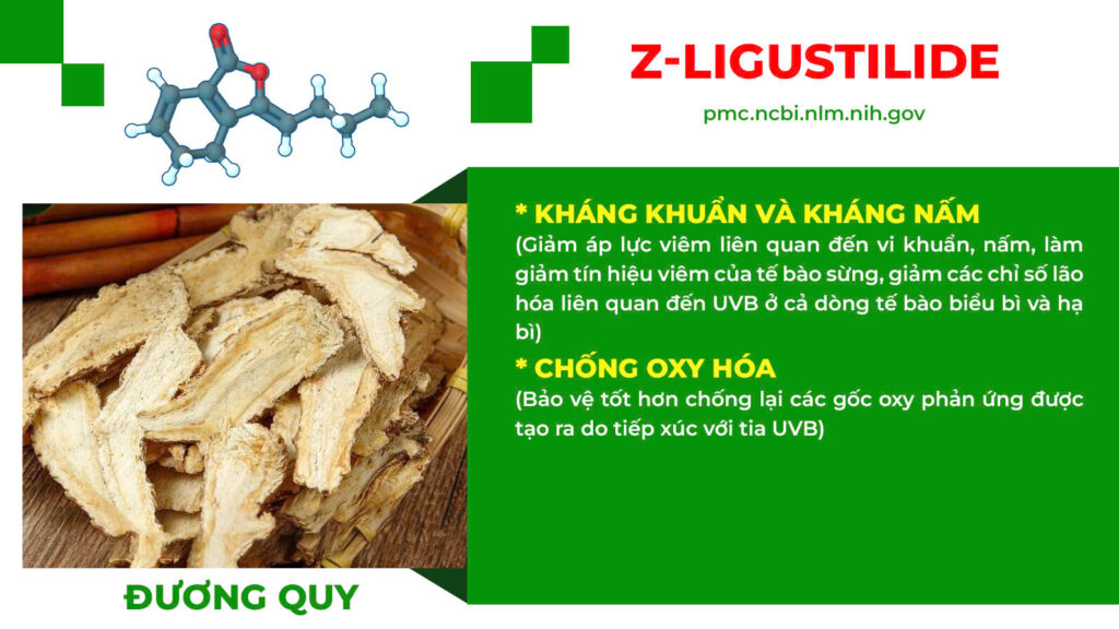 Thành phần hoá học bổ doanh 