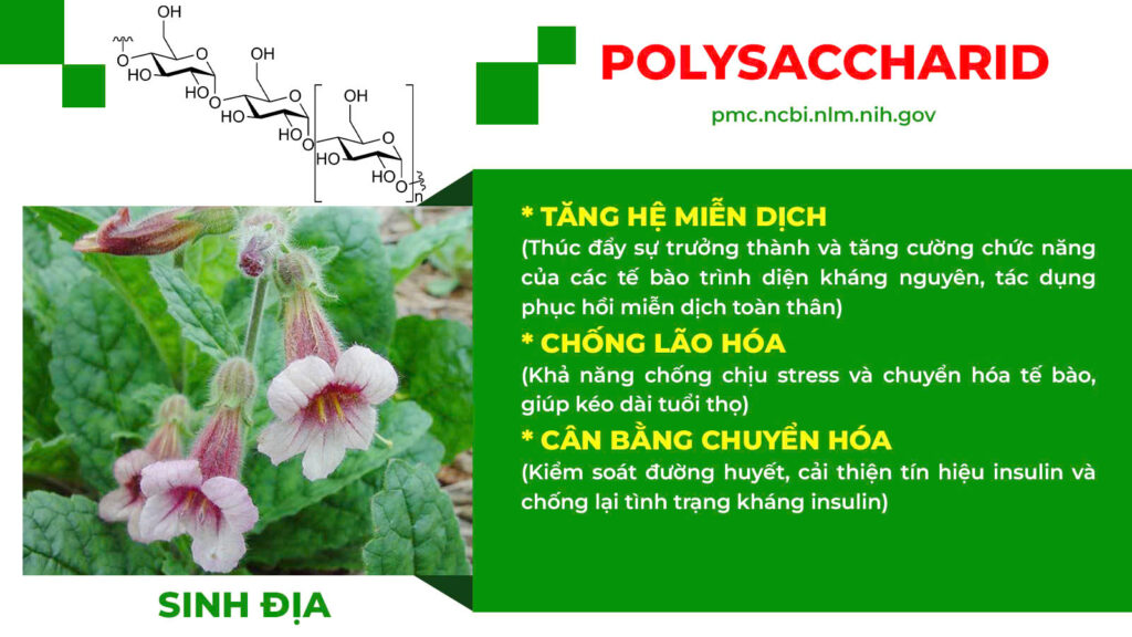 Thành phần hoá học bổ doanh 
