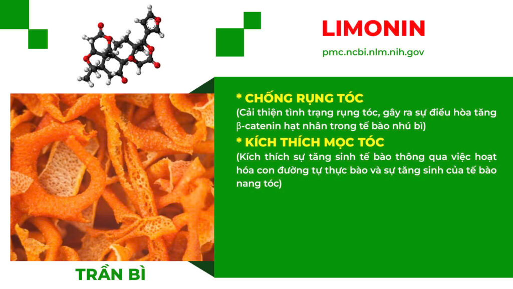 Thành phần hoá học bổ doanh 