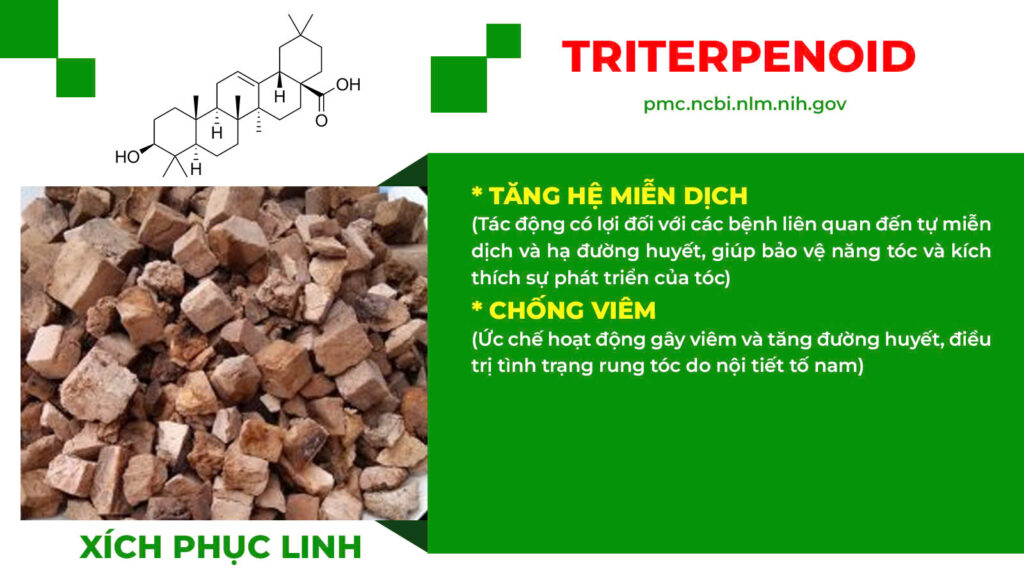 Thành phần hoá học bổ doanh 