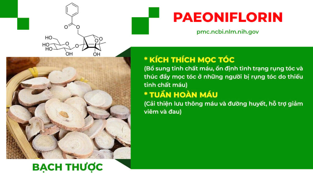 Thành phần hoá học bổ doanh 