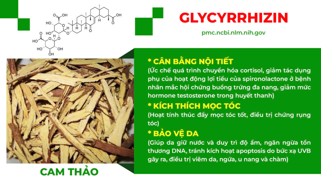 Thành phần hoá học bổ doanh 