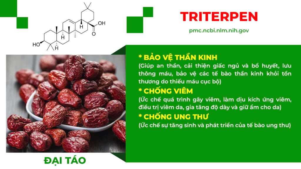 Thành phần hoá học bổ doanh 