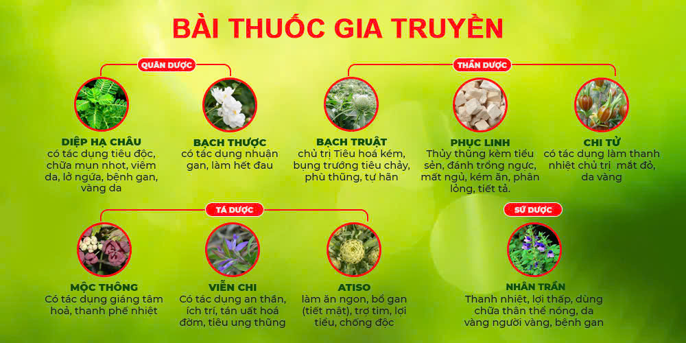 Bài thuốc gia truyền mát gan ống