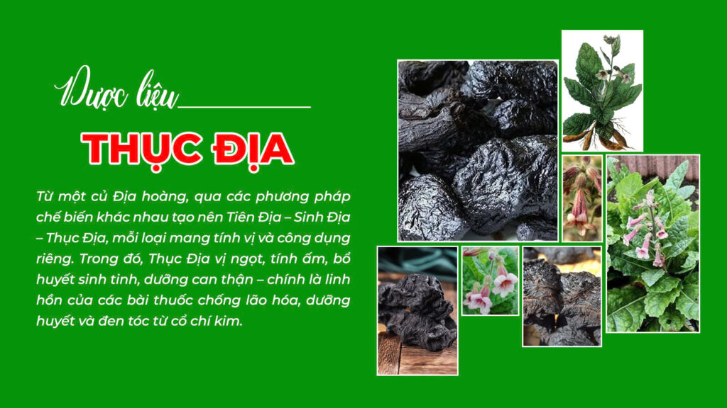 Câu chuyện trường xuân