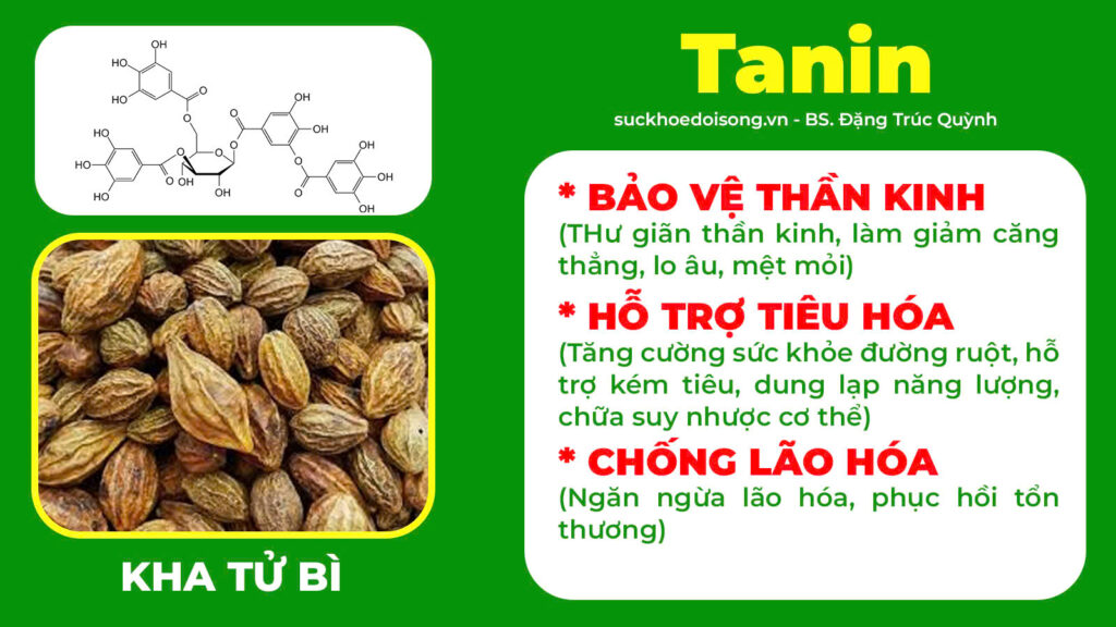 Thành phần hoá học trường xuân 