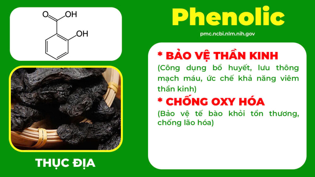 Thành phần hoá học trường xuân 