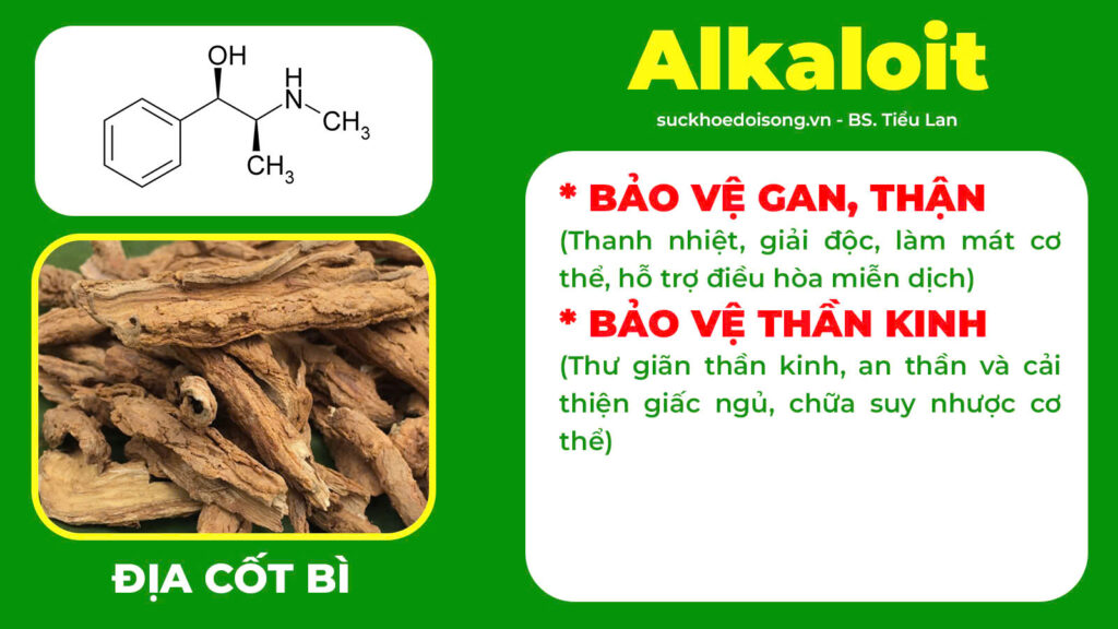 Thành phần hoá học trường xuân 