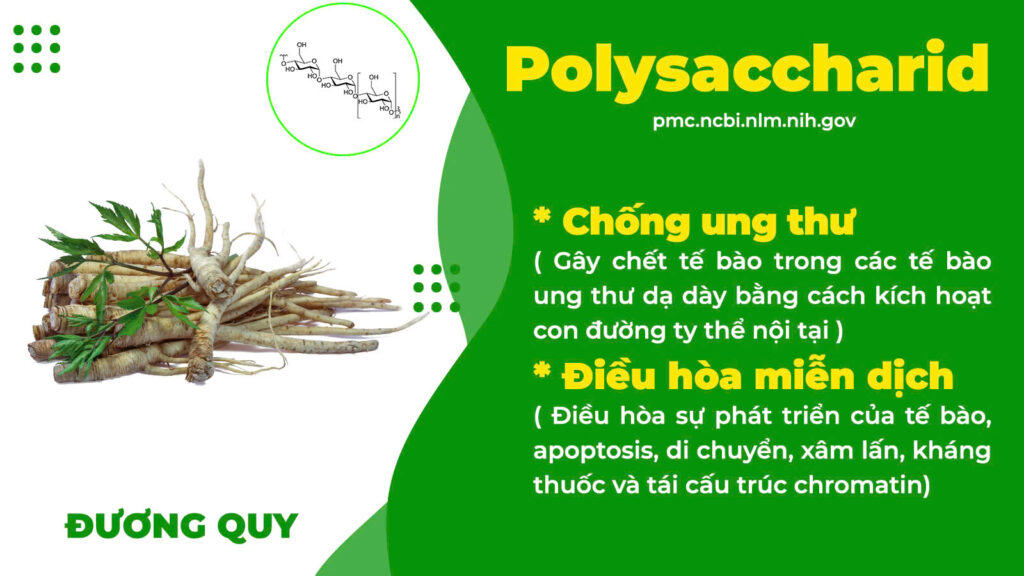Thành phần hoá học hen phế quản 1