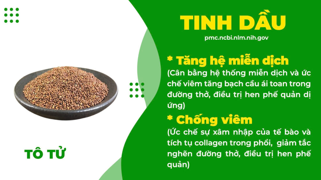 Thành phần hoá học hen phế quản